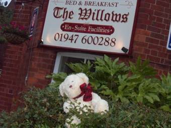 Hostal The Willows