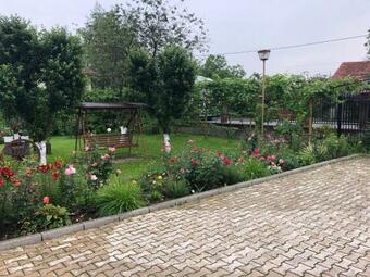 Hostal Pensiunea Elis