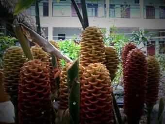 Albergue Hotel El Caminante Del Llano
