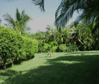 Casa De Campo Los D�lmatas