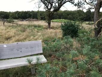Zen-bungalow No 1 Met Sauna En Hottub
