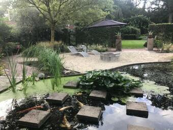 B&b. Het Hunebed Rolde