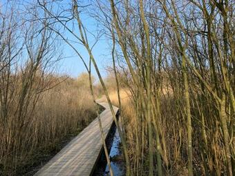 Apartamento Dock Hotel Stellendam