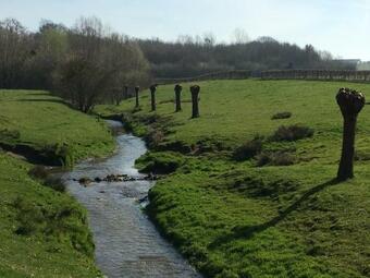 B&B De Limburgse Bergen
