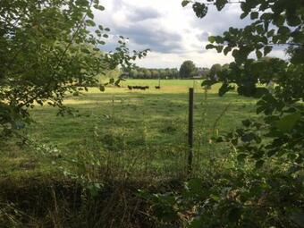 Vakantiehuis Bij Bedaf