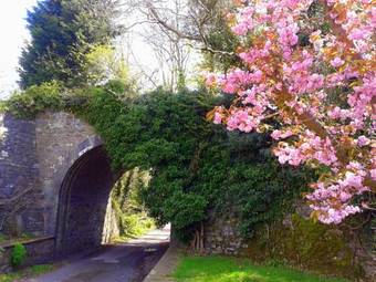 Ivy Bridge Hotel & Spa