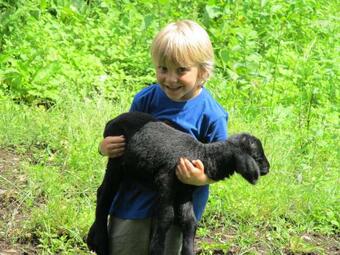 Apartment Berghof Familie Steinwender