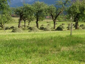 Apartamento Rutarhof