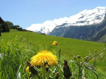 Apartamento Ferienhaus Tauernblick