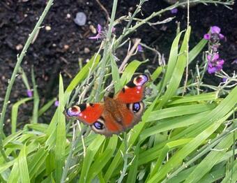 Apartamento New- Private Residence On A Lake Near Amsterdam