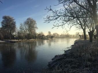 Bed & Breakfast Droomgaerd