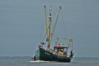 Hotelhuisje Warmenhuizen #d