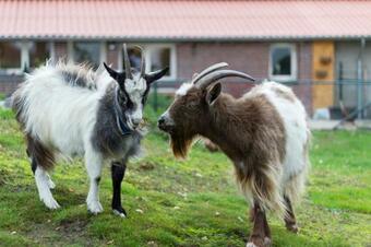 Bed & Breakfast Op D'n Stolberg