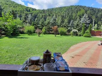 Villa Pensiunea Putnisoara