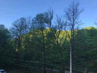 Lodge Pensiunea Valea Tonii