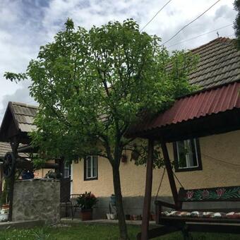 Apartamento Mama-lak �s Ist�l-lak (cs�ksomly�)