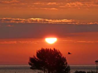 Hostal Riverside Cottage