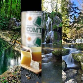 Gite La Petite Clairvalienne