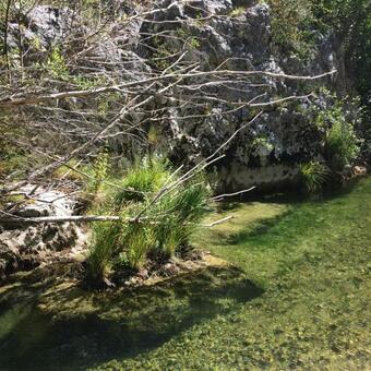 L'unicorne Bed & Yoga Haut Var