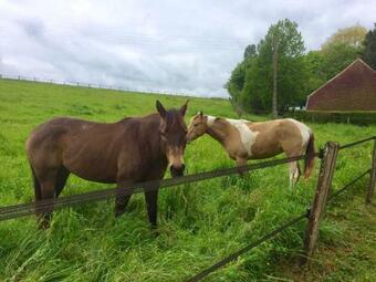 Le Moulin Du Buisson