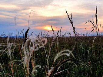 Le Gite Du Larzac � Brunas