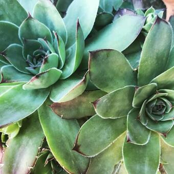 Bed & Breakfast Chemin Des Ormeaux