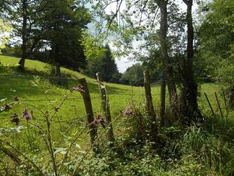 Bed & Breakfast "en Bord De Chemin"