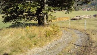 J'irai Dormir Chez Vous