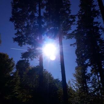 Apartamento Le G�te Du Cheval Blanc