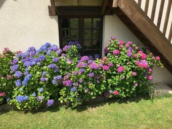 Apartamento Appartement Charmant � Honfleur