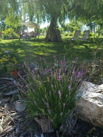 Maison De Vacances Sol & Piper