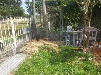 Chaumi�re Du Ch�teau D'� ,gite 17 Couchages