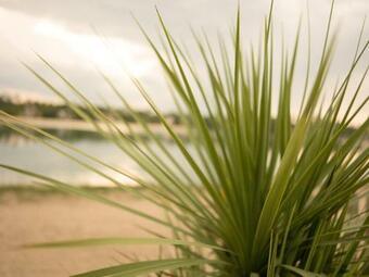 Hotel Le Pavillon Bleu