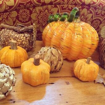 Bed & Breakfast Inn At Silver Maple Farm