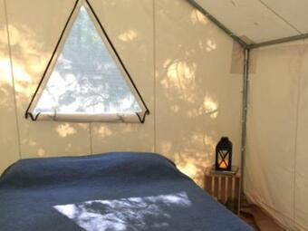 Tentrr Signature Site - Wildflower