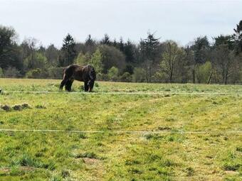Bed & Breakfast Manoir De Botcol