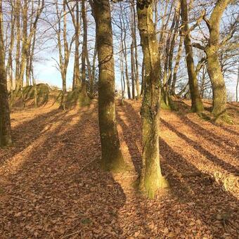 Bed & Breakfast B And B Sycomore, La Bouriotte