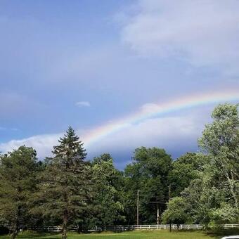 Tentrr Signature Site - Sativa Views