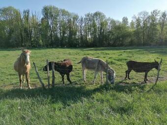 Bed & Breakfast Chambre D'h�tes Esprit De Famille