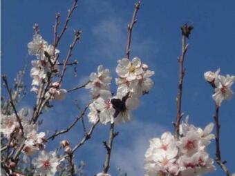 Apartamento Appartement De 2 Chambres Avec Jardin Clos Et Wifi A Le Bar Sur Loup
