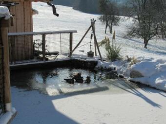 Bed & Breakfast Chalet Trappeur