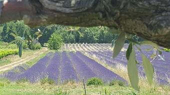 G�tes Du Ch�teau D'alen�on