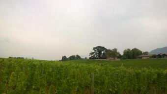 Bed & Breakfast Ch�teau La Violette