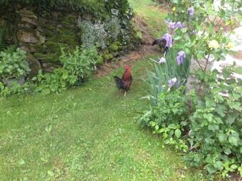 G�te Lisseuil, 4 Pi�ces, 6 Personnes - Fr-1-630-181