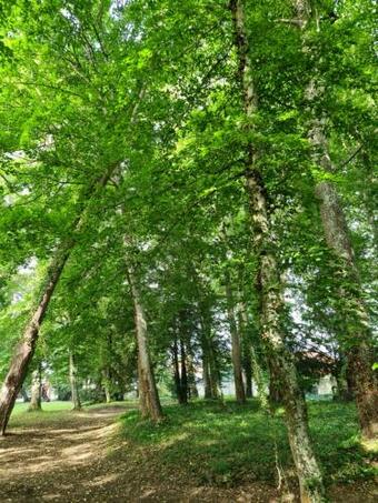 Bed & Breakfast Maison D'h�tes Au C?ur Des Lacs