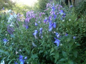 Quintessentials Bed And Breakfast And Spa