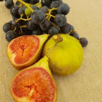 Chambres D'h�tes De Charme - G�tes Cosy - La Cle Des Champs - A La Campagne