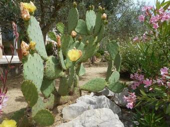Hostal Gite Anduze Le Clos Des Cigales