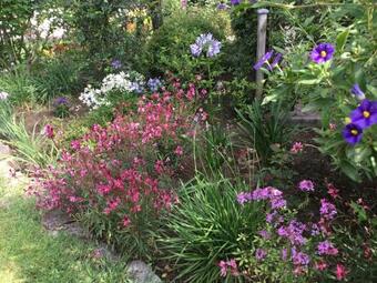 Bed & Breakfast Mas Pierre