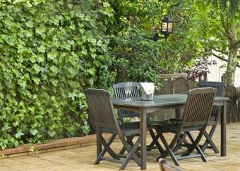 Motel Super 8 Jamaica At Jfk Airport